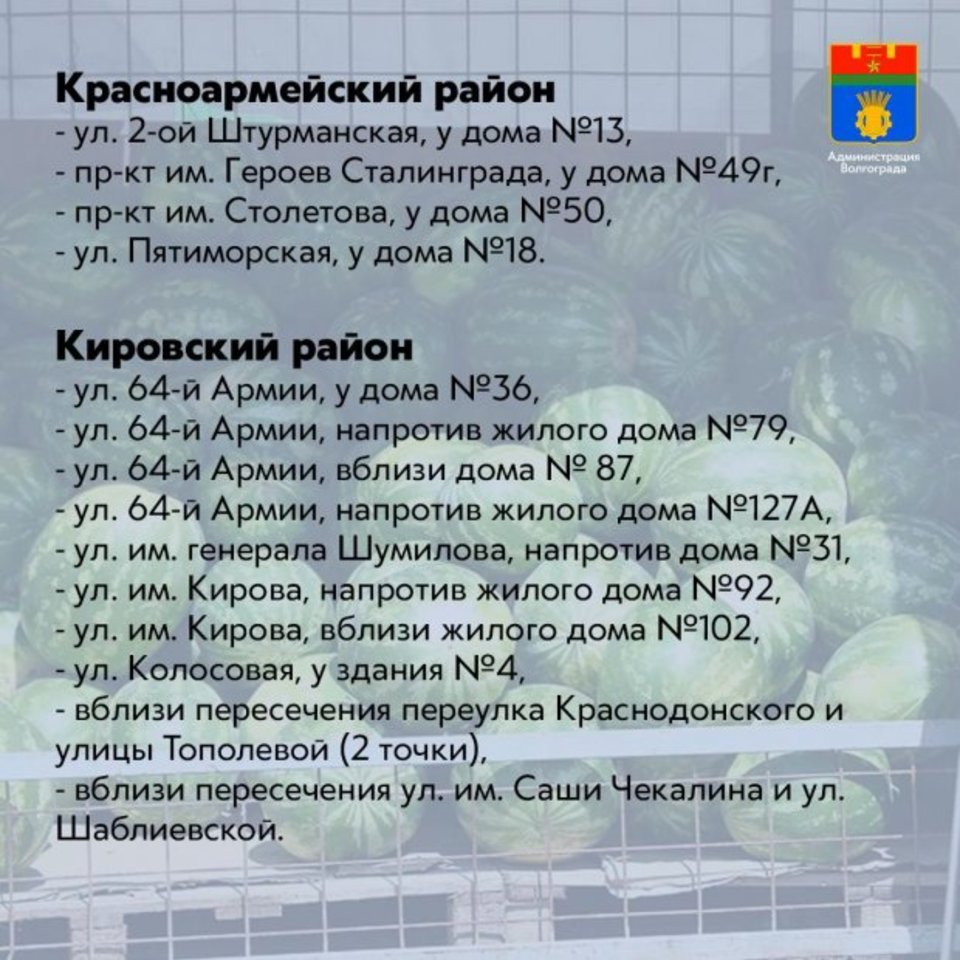 В Волгограде открыли 61 точку для торговли арбузами и дынями